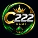 C222 Game